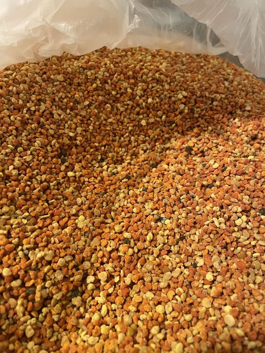 Vand polen crud de primavara