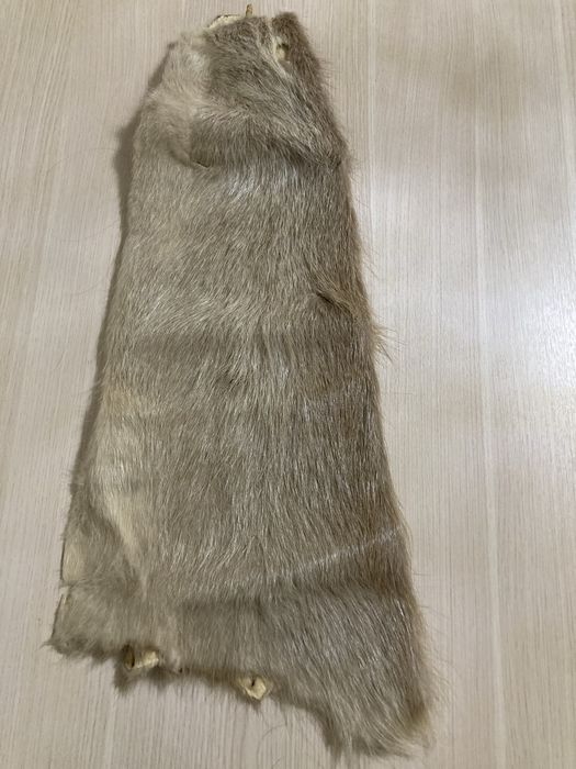 Продам шкурку-чулок нутрии