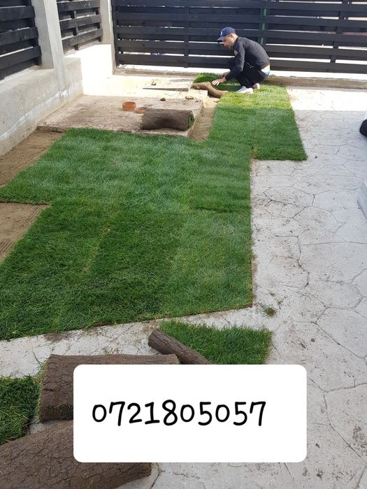 Gazon rulou sport/ tuia smaragd/ piatra alba decorativa