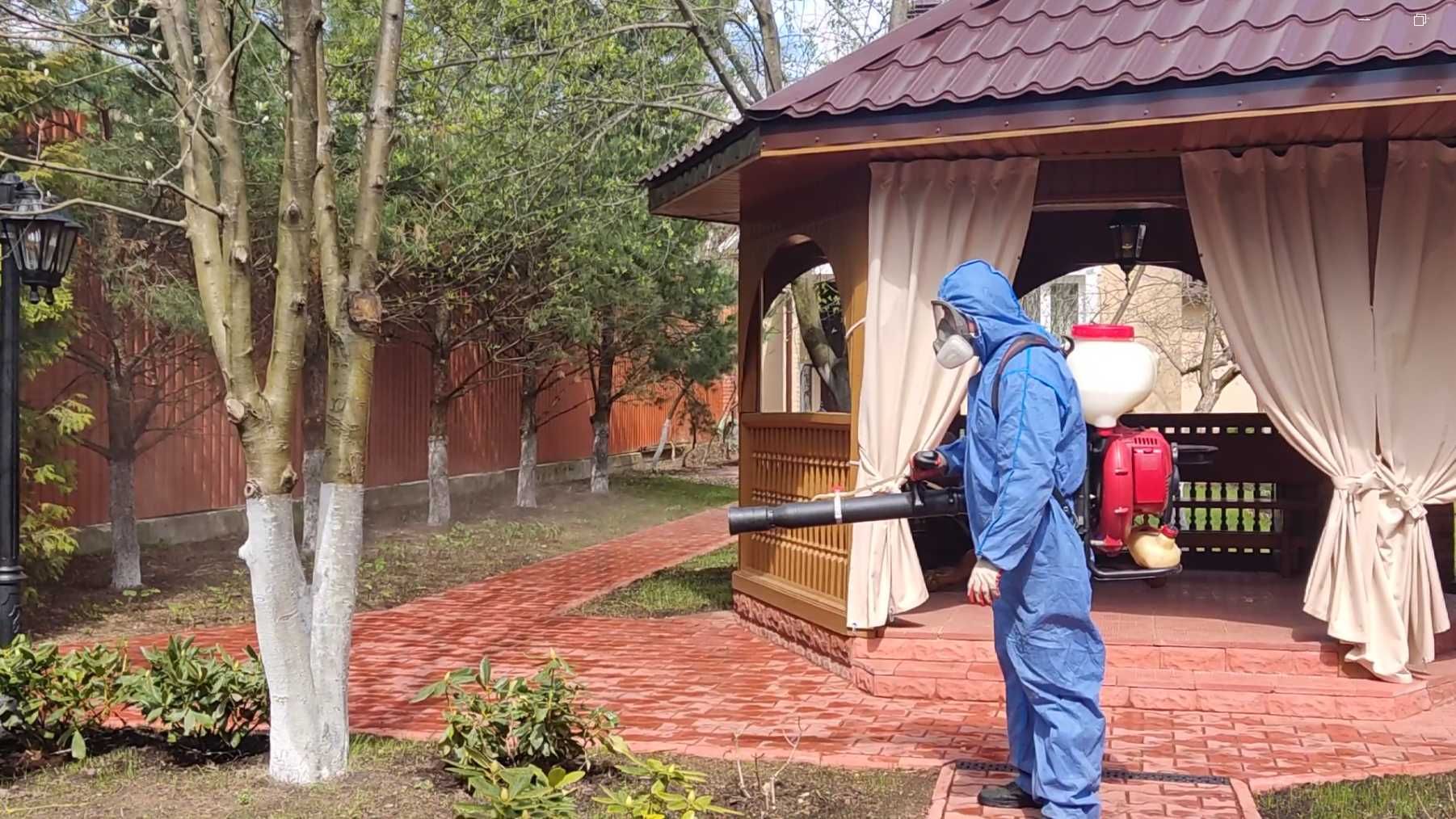 Dezinfeksiya klop tarakan Дезинфекция СКИДКИ до 40%