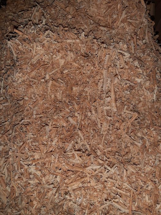 Vând rumegus din lemn de esență tare