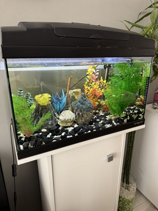 Аквариум оборудван 80 литра с шкаф
