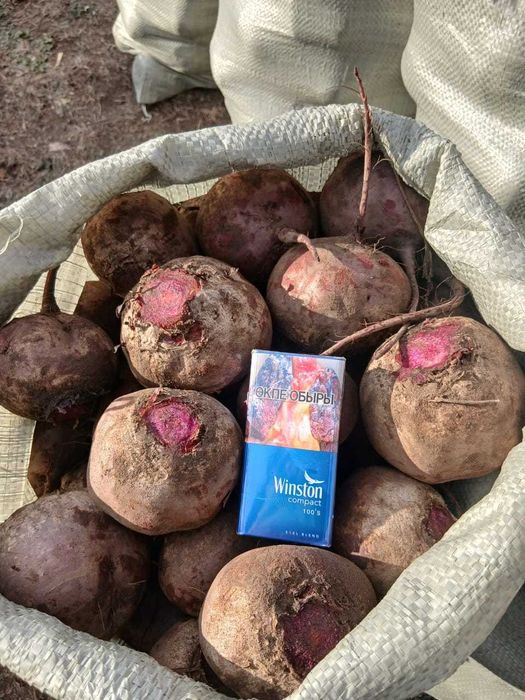 Продам Свекла Железинка