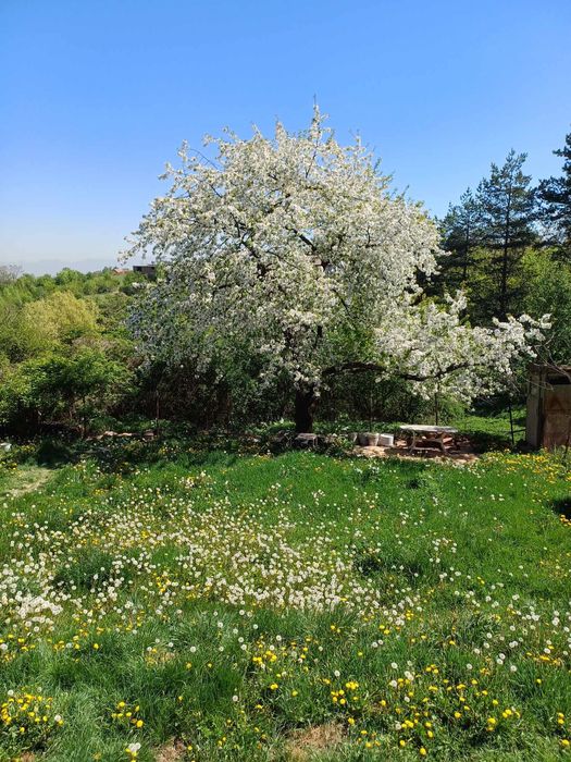 Продава се Парцел в София, Люлин 5 - 587 кв.м за 237 €/кв.м - Снимка #1