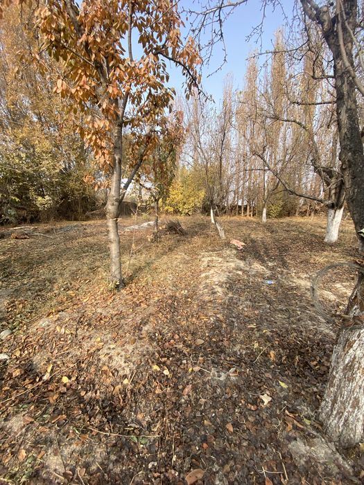 Йер сотилади срочно