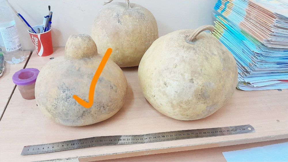 Тыква Qovoq Pumpkin dekor uchun