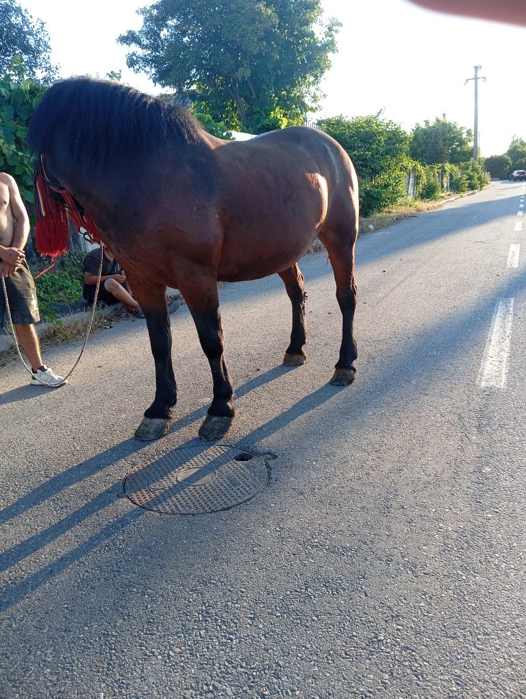 La schimb iapa de 7 ani cu ACTE