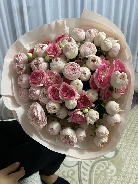 Пионы свежий казір алынган