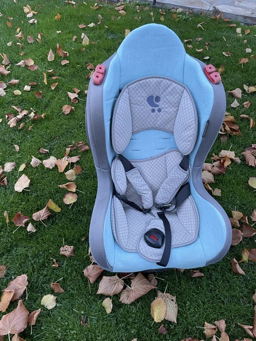 Столчета за кола Lorelli и Chipolino