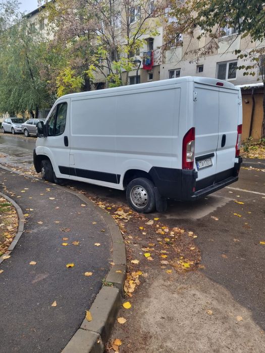 Duba de marfa. Buna ptr afacere