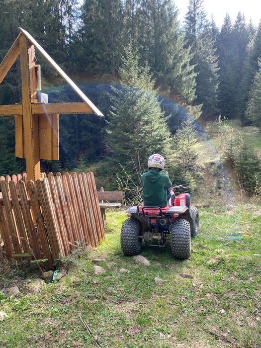 Vand atv aeon cobra