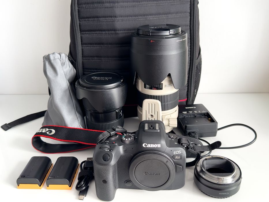 Vand aparat foto mirrorless CANON EOS R6