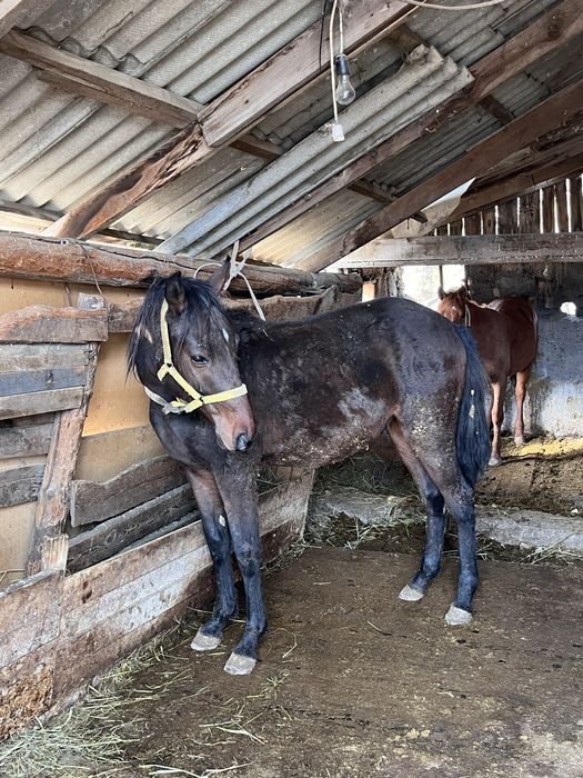 Срочноо продается!!!