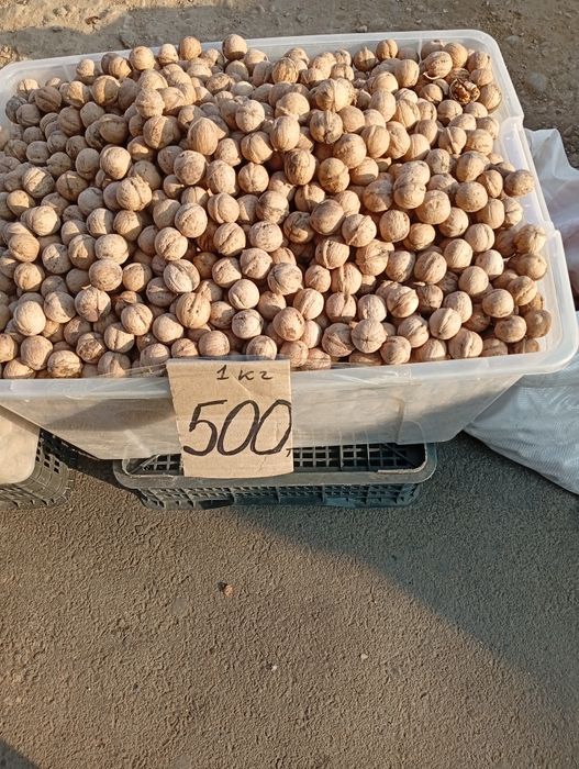 Орехи оптом их Тюлькубасс. Свежий урожай.