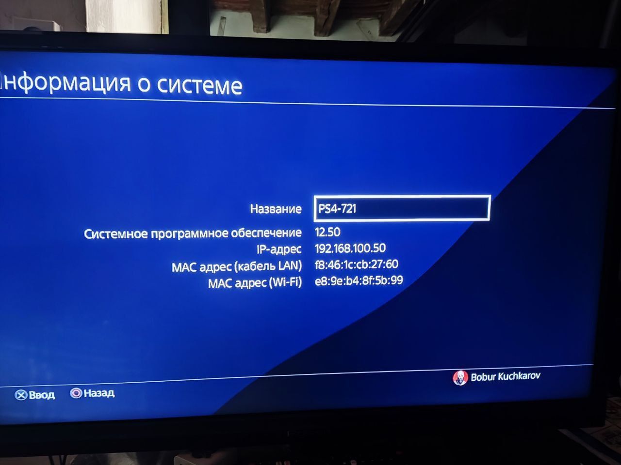 Pes sotladi srochni pamit 500