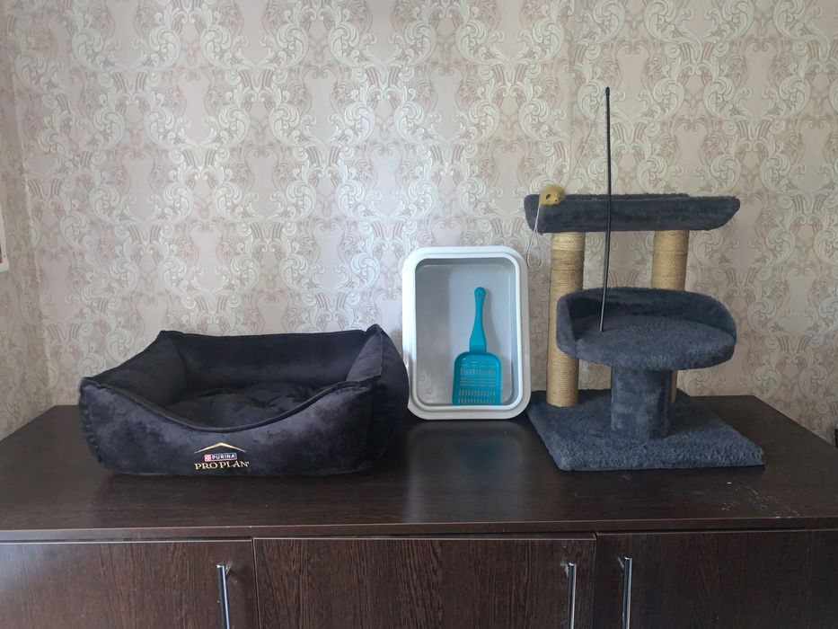 Туалет для кошек когтеточка с полками лежанка миска лоток  лопатка