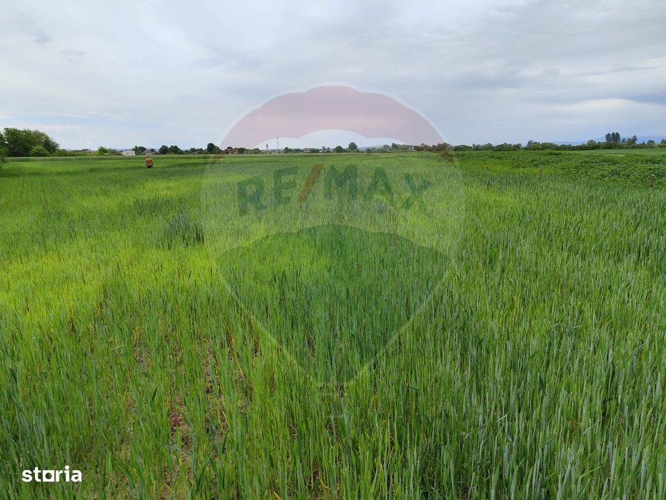 Teren intravilan de vanzare in Ulmeni (Plopi)