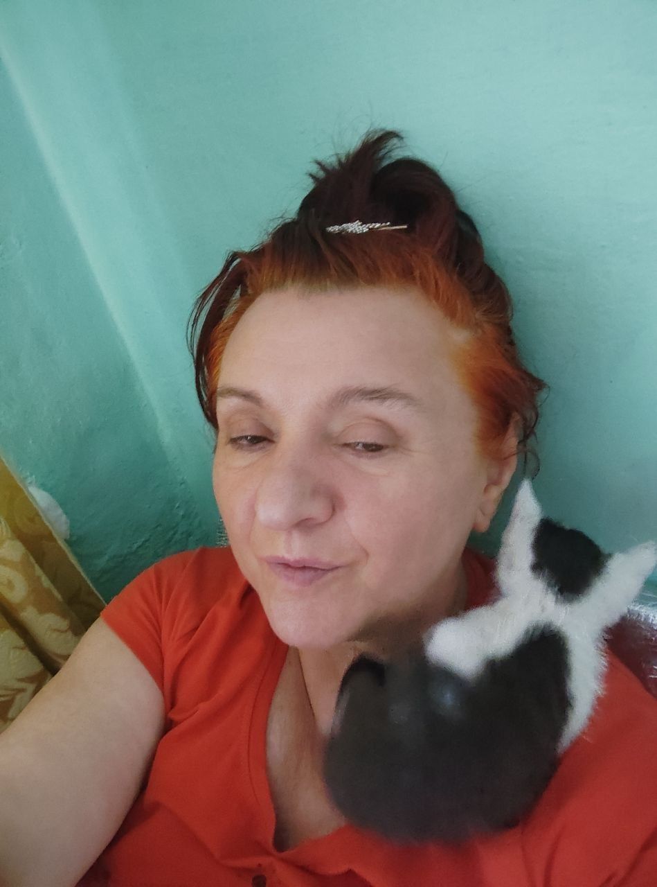 Котята отдаю полосатый и черно белый