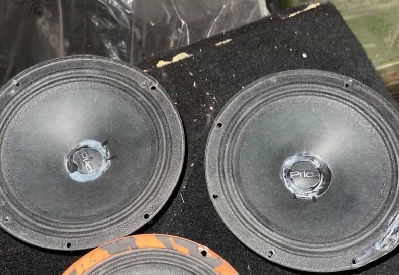 Pioneer 5000 madel pride 16 sm solo mini apisaniyani oqila