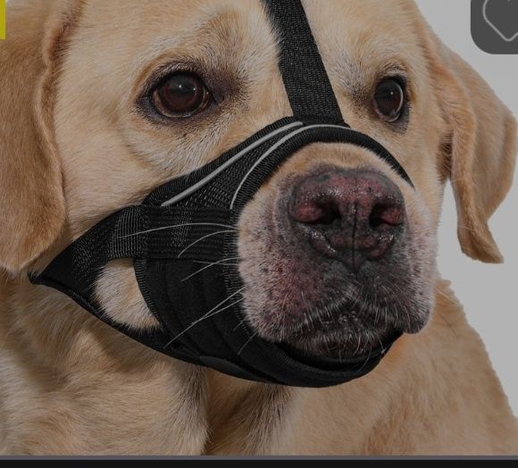 Botnita cu chinga reglabila