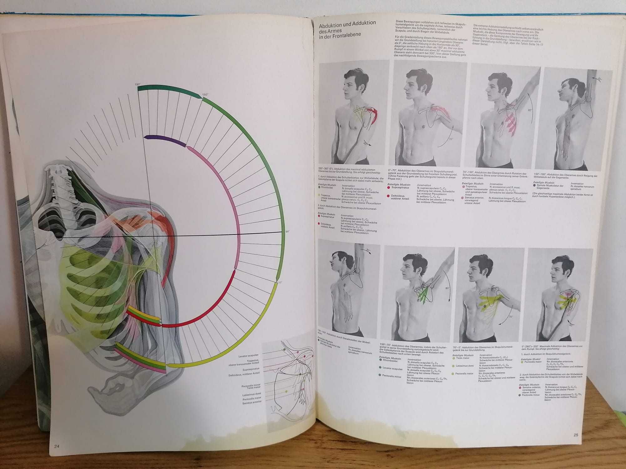 Atlas reumatologic ilustrat 1979