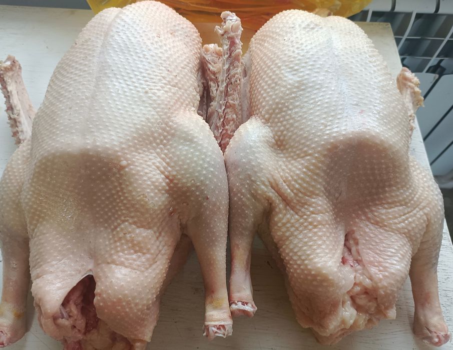 Тушки гусей продам.