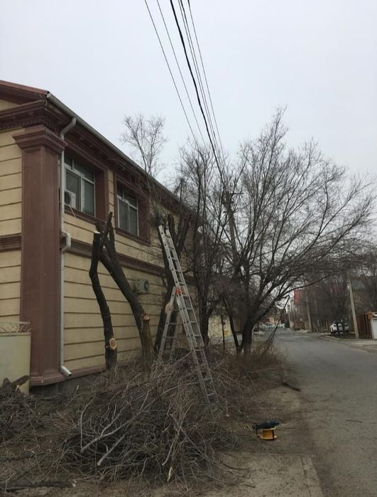 Обрезка деревьев.