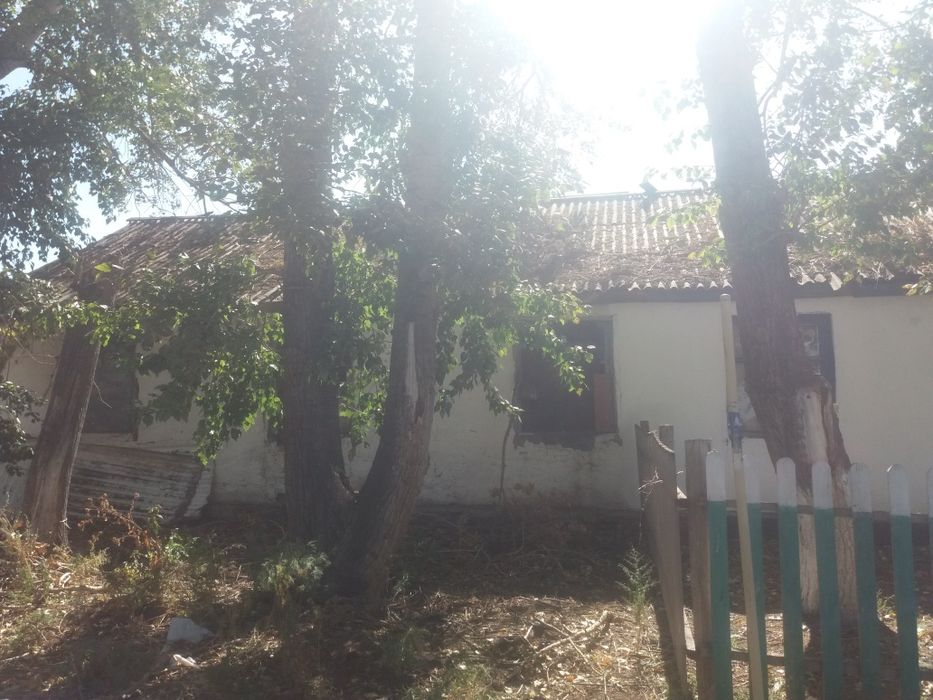 сено продам 7 тюков 1 тюк 300 кг 10000