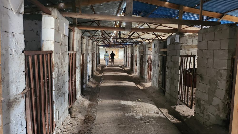 Аренда база для откорма