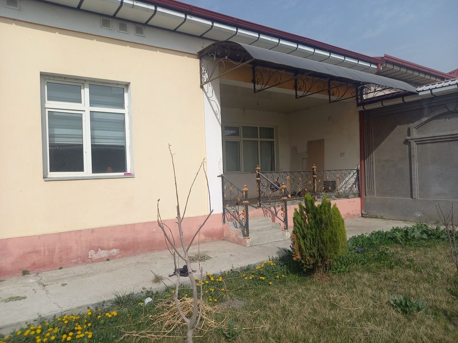 Таййор Котеж 6 сотихли