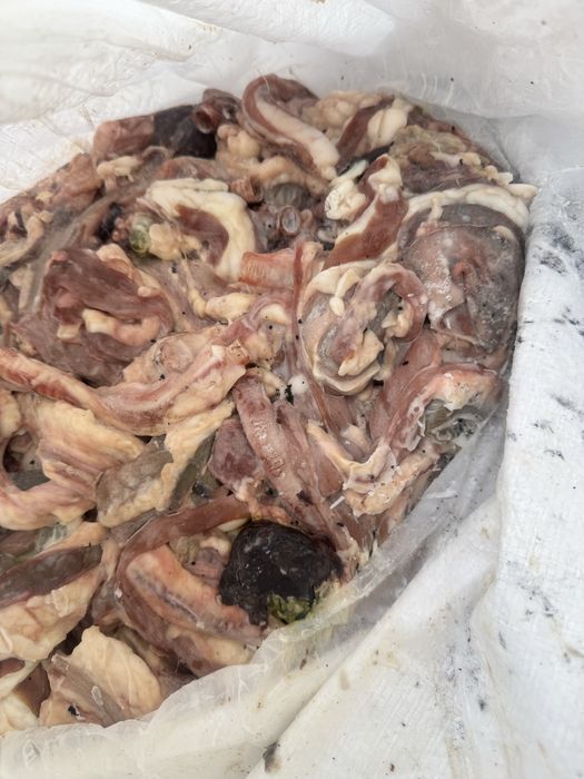 Корм для собак, кошек и тд.