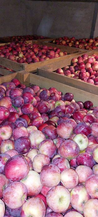 Vânzare teren cu livadă. Înconjurat de pădure