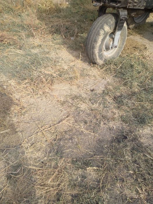 MTZ 80 traktori sotiladi