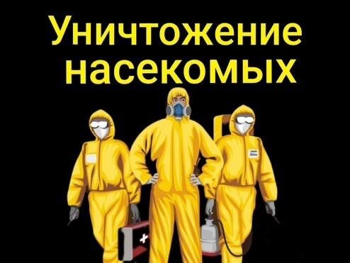 Дезинфекция Хизмати 100% Dezinfeksiya.
