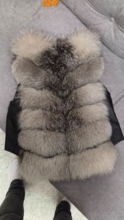 Vesta vulpe argintie