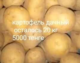 Местный,дачный  картофель.250 кг.Домашние заготовки