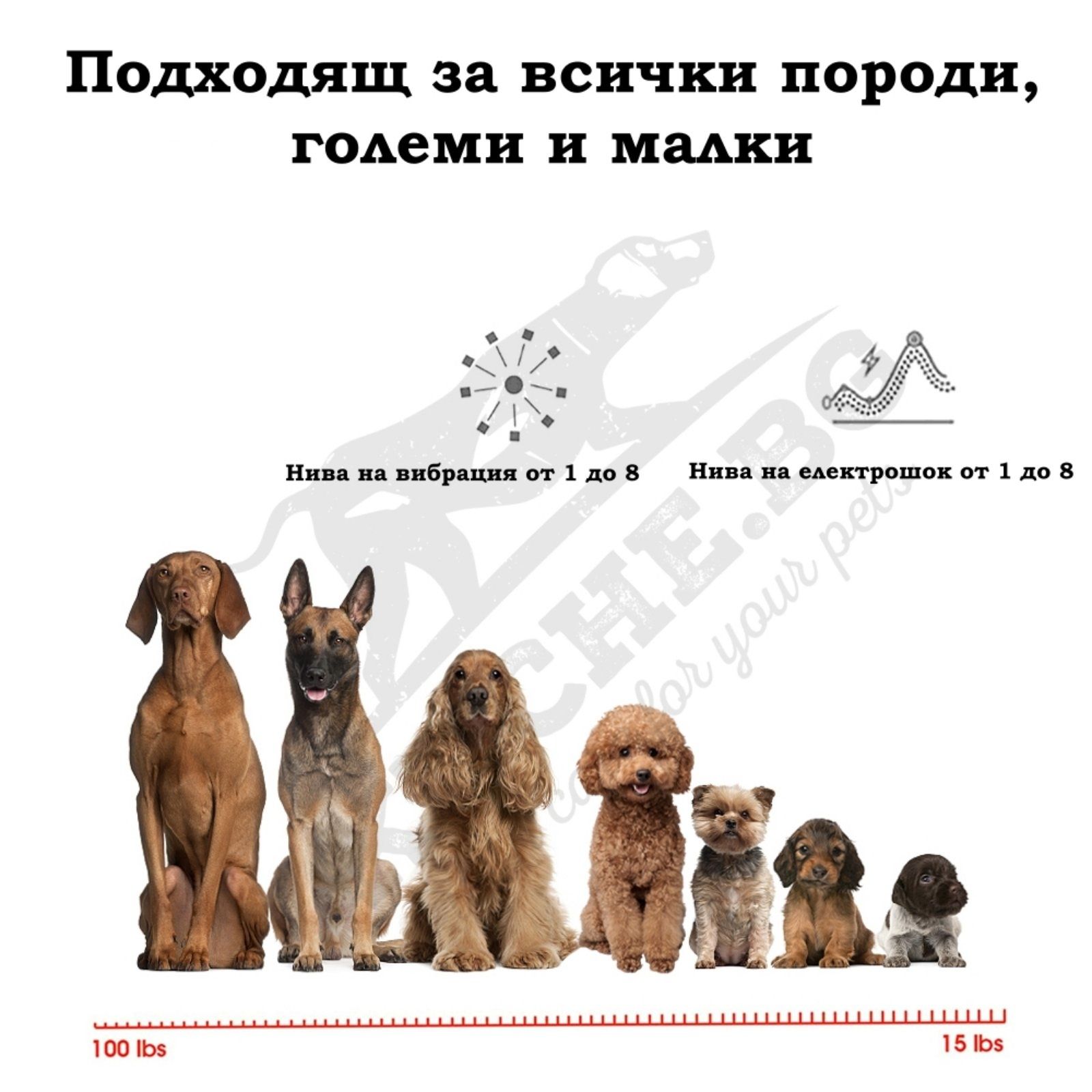 Антилай нашийник
Антилай нашийник – Нашийник против кучешки л