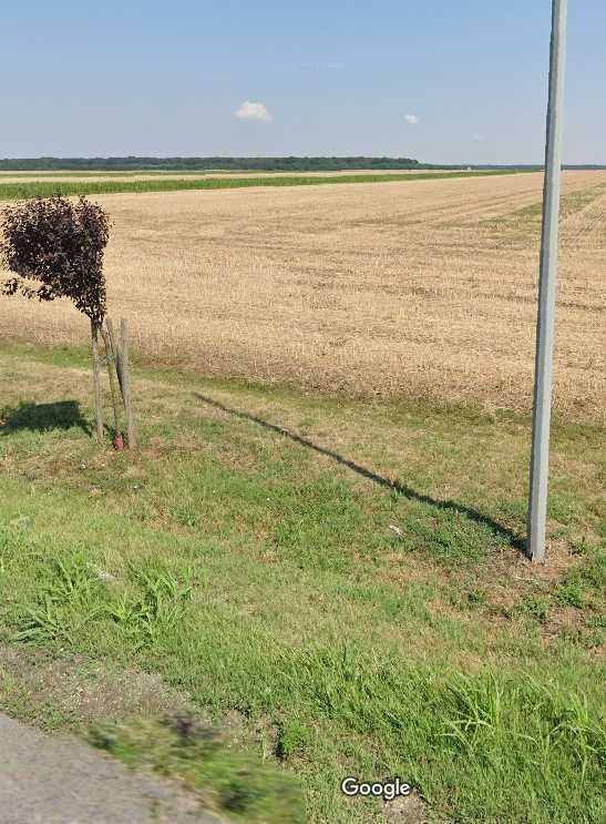 Teren de vanzare 13600mp intravilan-industrial Branesti Ilfov DN3