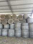 Baloti de lucerna 125x120 la nivel de tir