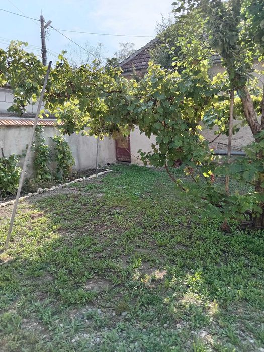 Casa de vanzare judetul Brasov