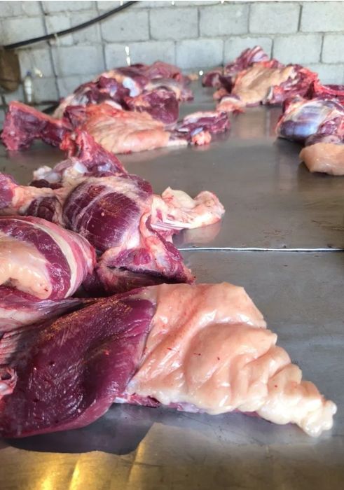 Ет 1.2.3 жасар тайлар