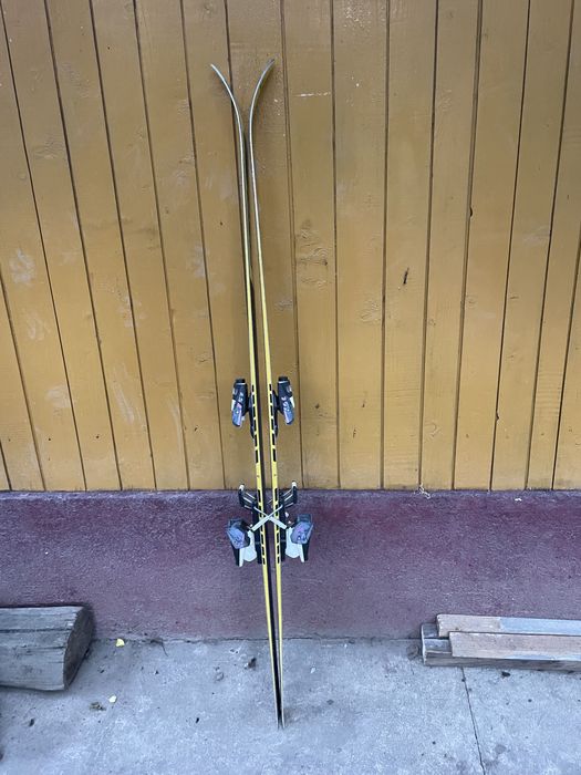 Schiuri FIscher , de competitie