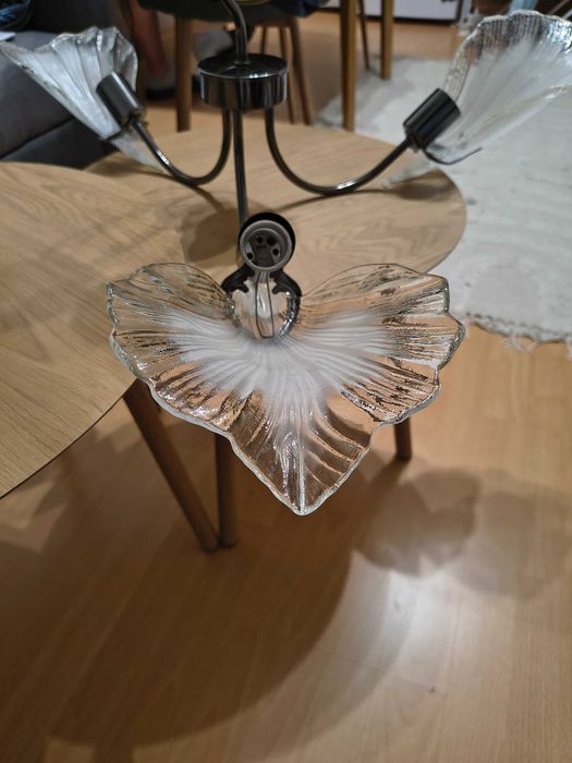 Запазен полилей.