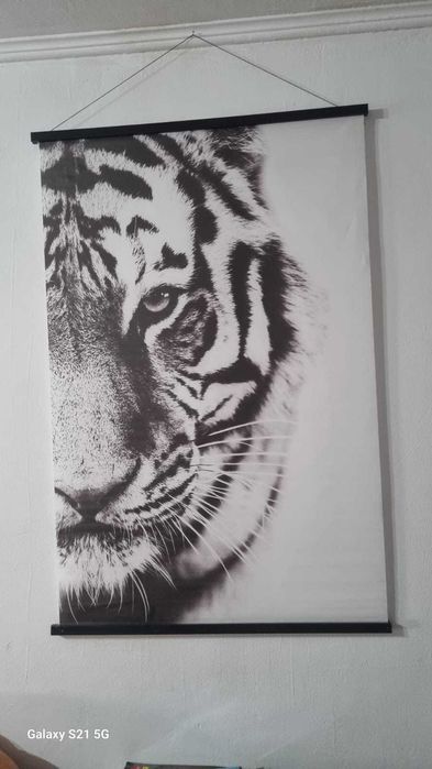Poster cu tigru -cu suspendare