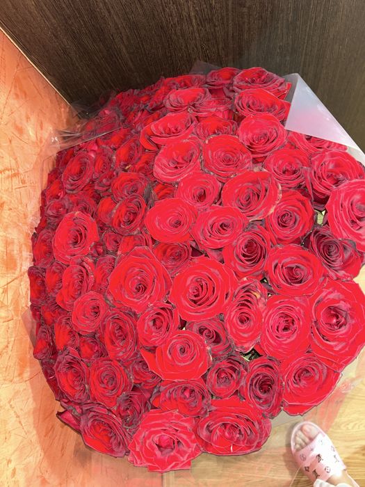 Цветы роза голландский