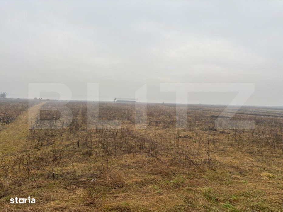 Teren Intravilan, 3000 mp, zona Chintelnic