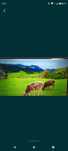 Smart TV TCL 108