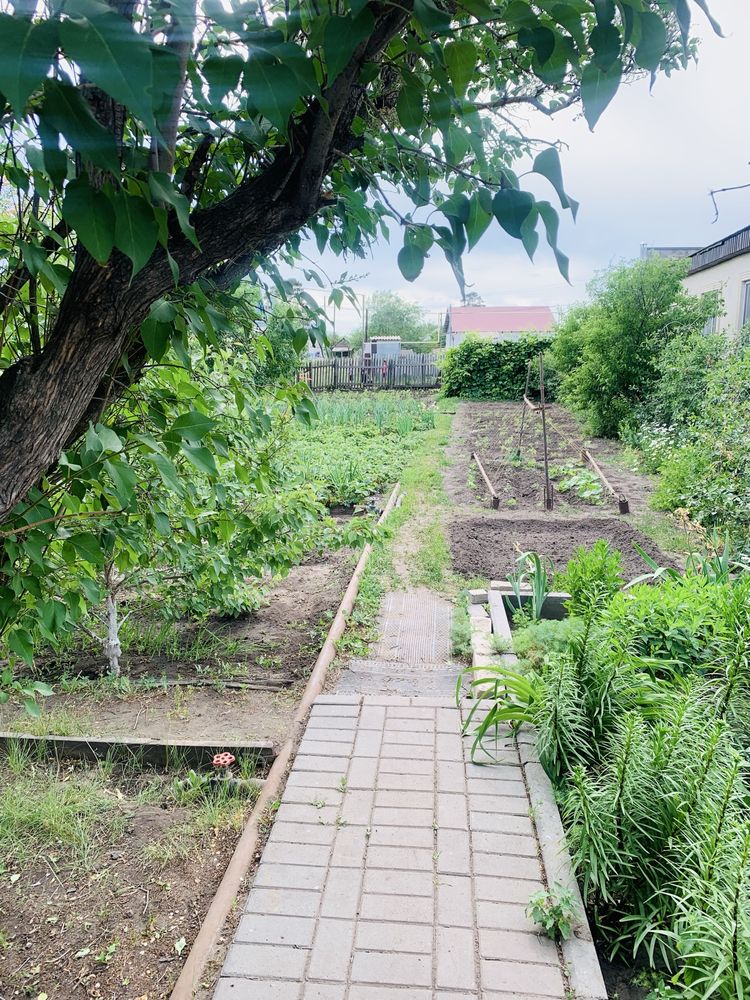 Продам дачу СК Черемушки