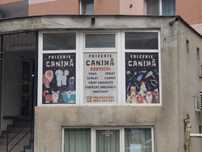 Frizerie canina Alba Iulia