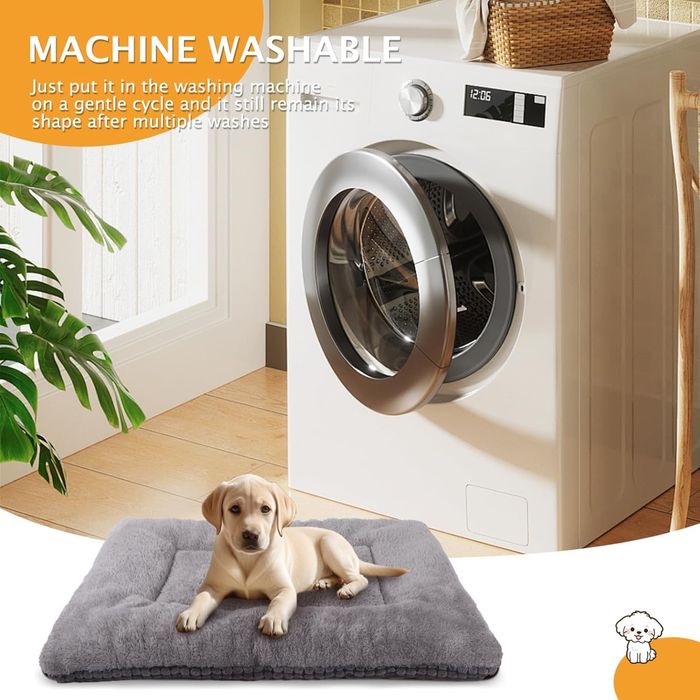 Covoras reversibil pentru caini 75x50 cm, PET SPPTIES